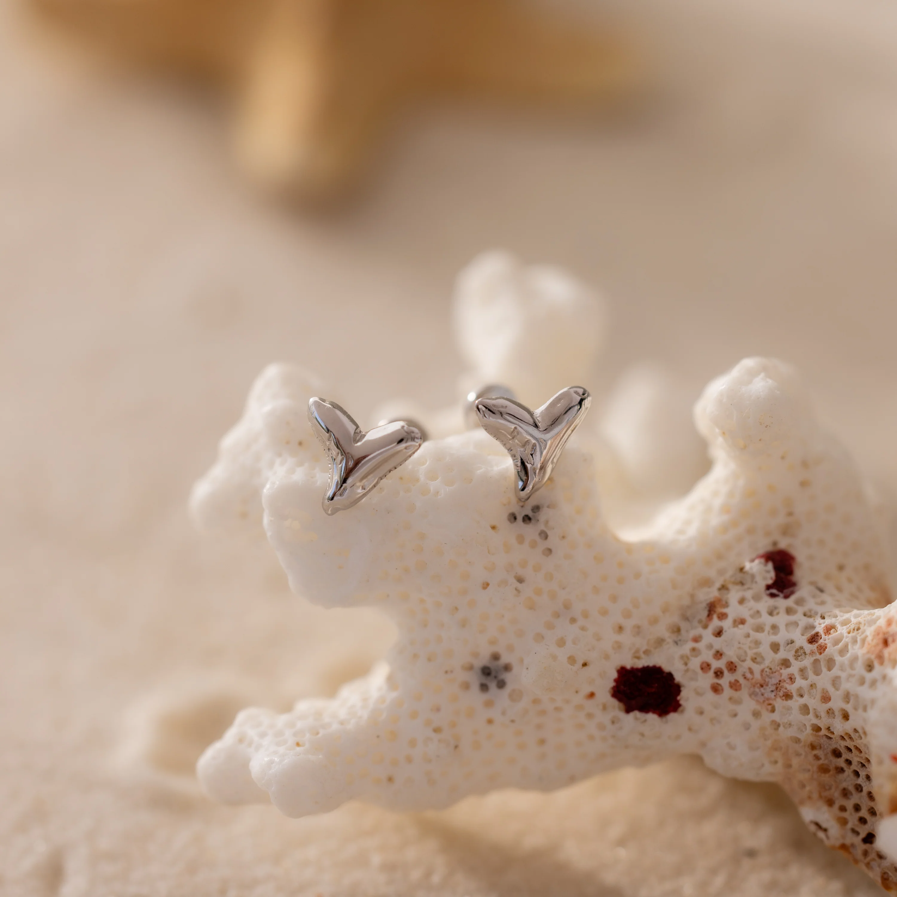 Shark Tooth Flatback Studs - Image 5